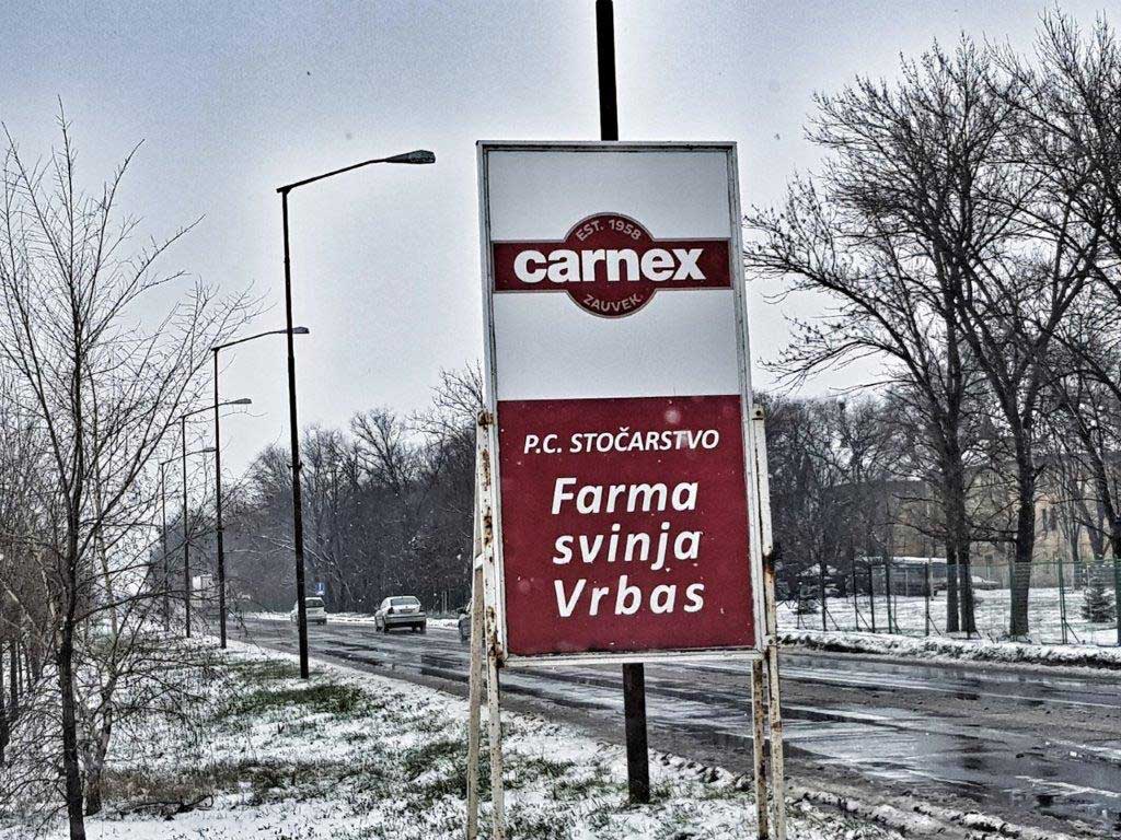 carnex farma svinja vrbas