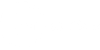 ion solutions